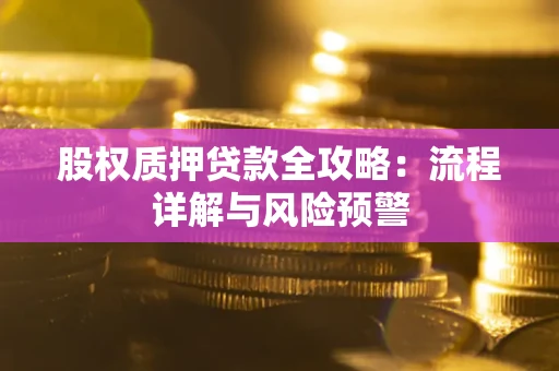 济南股权质押贷款全攻略：流程详解与风险预警