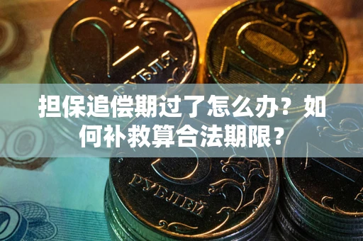 济南担保追偿期过了怎么办？如何补救算合法期限？