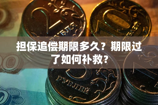 济南担保追偿期限多久？期限过了如何补救？