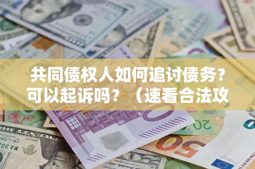 济南共同债权人如何追讨债务？可以起诉吗？（速看合法攻略）