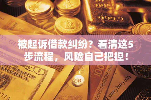 济南被起诉借款纠纷？看清这5步流程，风险自己把控！